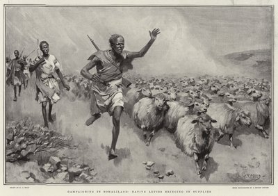 Kampania w Somalilandzie Native Levies przynoszący zapasy autorstwa William T. Maud
